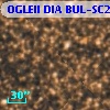 OGLEII DIA BUL-SC2   2200