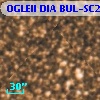 OGLEII DIA BUL-SC2   2221