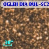 OGLEII DIA BUL-SC2   2268