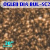 OGLEII DIA BUL-SC2   2338