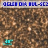 OGLEII DIA BUL-SC2   2484