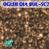 OGLEII DIA BUL-SC2   2806