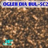 OGLEII DIA BUL-SC2   2984