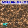 OGLEII DIA BUL-SC2   3146