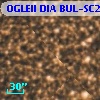 OGLEII DIA BUL-SC2   3234