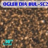 OGLEII DIA BUL-SC2   3410