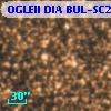 OGLEII DIA BUL-SC2   3607