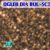 OGLEII DIA BUL-SC2   3802