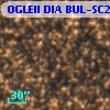 OGLEII DIA BUL-SC2   3914