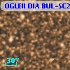 OGLEII DIA BUL-SC2   4065