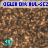 OGLEII DIA BUL-SC2   4139