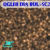 OGLEII DIA BUL-SC2   4174