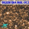 OGLEII DIA BUL-SC2   4446