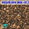 OGLEII DIA BUL-SC2   4792