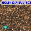 OGLEII DIA BUL-SC2   4851