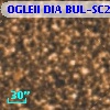 OGLEII DIA BUL-SC2   5002