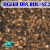 OGLEII DIA BUL-SC2   5058