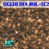 OGLEII DIA BUL-SC2   5102