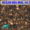 OGLEII DIA BUL-SC21    277