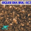 OGLEII DIA BUL-SC21    396