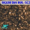 OGLEII DIA BUL-SC21    511