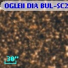 OGLEII DIA BUL-SC21    568