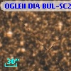 OGLEII DIA BUL-SC21    619