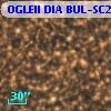 OGLEII DIA BUL-SC21    983