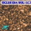 OGLEII DIA BUL-SC21   1091