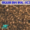 OGLEII DIA BUL-SC21   1361