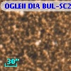 OGLEII DIA BUL-SC21   1645