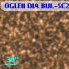 OGLEII DIA BUL-SC21   1672