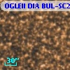 OGLEII DIA BUL-SC21   1695
