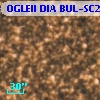 OGLEII DIA BUL-SC21   1786