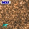 OGLEII DIA BUL-SC21   2360