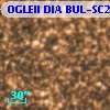 OGLEII DIA BUL-SC21   2366