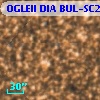 OGLEII DIA BUL-SC21   2559