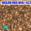 OGLEII DIA BUL-SC21   2696