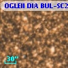 OGLEII DIA BUL-SC21   2814