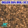 OGLEII DIA BUL-SC21   3010