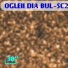 OGLEII DIA BUL-SC21   3459