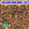 OGLEII DIA BUL-SC21   3491