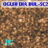 OGLEII DIA BUL-SC21   3635