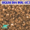 OGLEII DIA BUL-SC21   3665