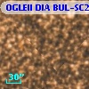 OGLEII DIA BUL-SC21   3767