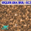 OGLEII DIA BUL-SC21   3797