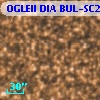 OGLEII DIA BUL-SC21   4028