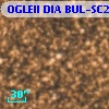 OGLEII DIA BUL-SC21   4125