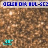 OGLEII DIA BUL-SC21   4128