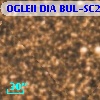 OGLEII DIA BUL-SC21   4187